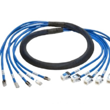 Pre-terminated  bundle Cat6a 26AWG S/FTP trunk cable